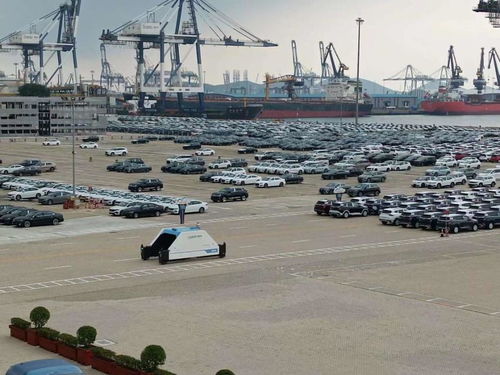 这座港口像园林 看绿色发展如何为烟台港增色添彩