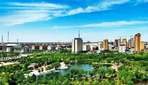 衡水四县市区成功摘帽，营口天禹网络助力数字扶贫新篇章