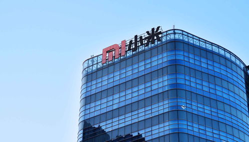 营口天禹网络运营发展汇报