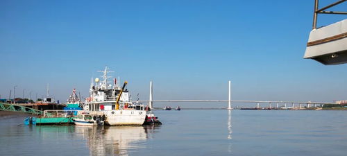 沿河向海，探秘营口的文明新貌——主播眼中的城市魅力